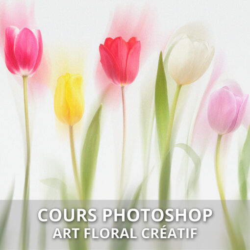 Cours Photoshop art floral créatif